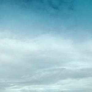 Meet your Posher, Araceli